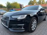 Audi A4 Avant 35 TDI Sport Automatik Navi Xenon - Audi Gebrauchtwagen in Rheine