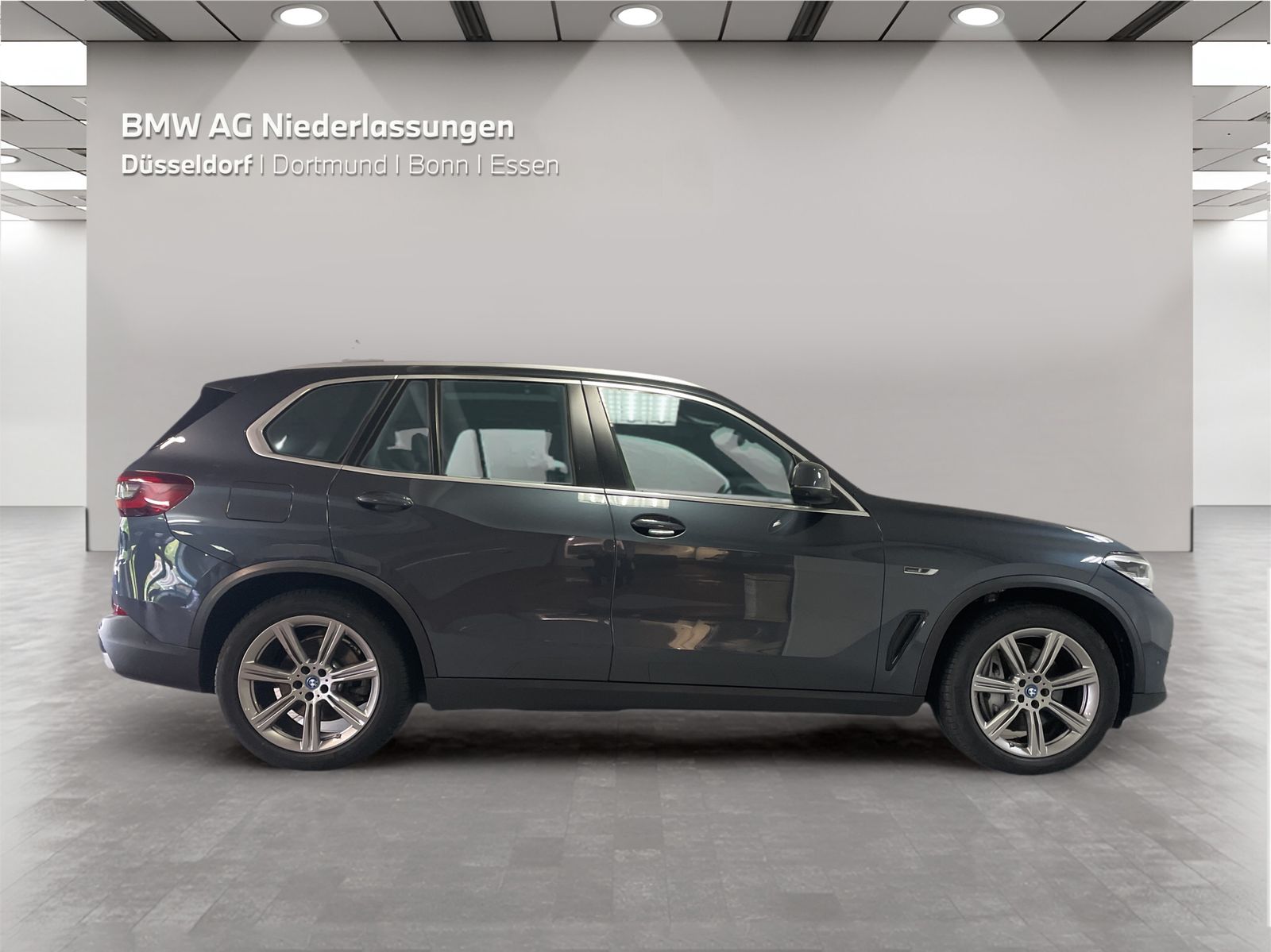 BMW X5 xDrive45e Night Vision Driv.Assist.Prof HiFi foto 5