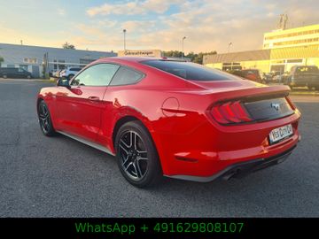 Ford Mustang - 6