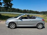 Peugeot 206 CC Quiksilver 110 Quicksilver - Peugeot 206 aus 2007: 206cc