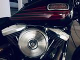 Harley-Davidson Softail Springer - HARLEY-DAVIDSON 1995