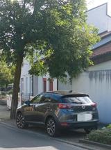 Mazda CX3.Grau - Mazda Premacy von privat