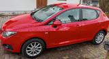 Seat Ibiza 1.2 12V 51kW Style Copa - Seat Ibiza aus 2011: Copa