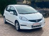 Honda Jazz 1.2 Trend*KLIMA*PDC* 53.858 KM - Honda Jazz: Weiß