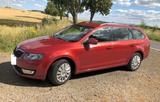 Skoda Octavia 1.6 TDI Ambition Combi Ambition