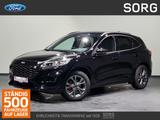 Ford Kuga 2.0 EcoBlue ST-Line X*4x4*AHK*B&O*-47%* - Ford Kuga Jahreswagen mit Diesel-Antrieb