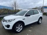 Land Rover Discovery Sport D150 2WD  Pure - Land Rover Discovery Sport in Essen