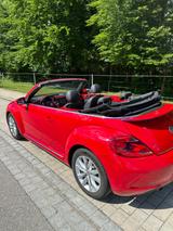 Volkswagen Beetle 1.2 TSI 50's BMT Cabriolet 50's BlueM... - Volkswagen Beetle aus 2013