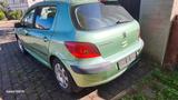 Peugeot 307 1.6 16V 110 - - Peugeot 307 mit Benzin-Antrieb: Kombi, 1.6