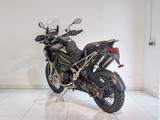 Triumph Tiger 1200 Rally Pro E5+ - TRIUMPH T120
