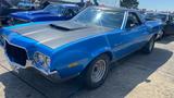 Ford Ranchero 500 H Kennzeichen - Ford: Ranchero