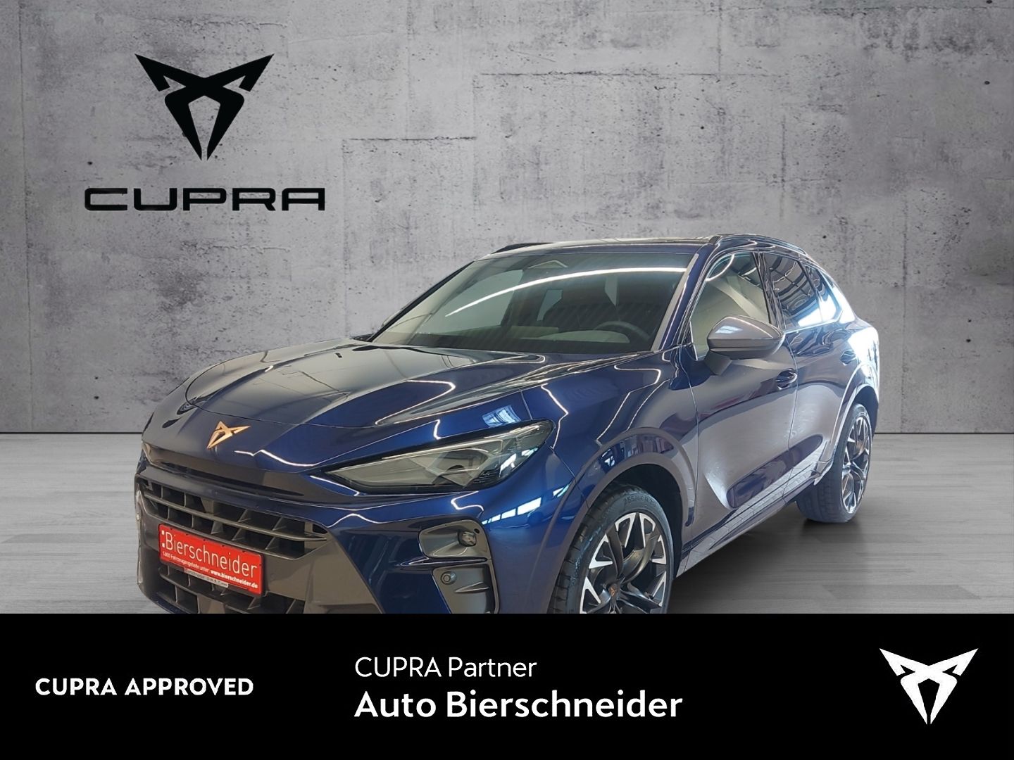 Cupra Terramar VZ 2.0 TSI 4Drive DSG ab 379,- EUR,- An
