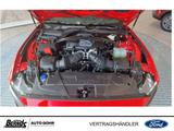 Ford Mustang Dark Horse Fastback 5.0 Ti-VCT V8 Automa - Ford Mustang Neuwagen in Essen