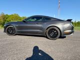 Ford Mustang 5.0 V8 GT inkl. Werksgarantie - Ford Mustang: I