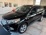 Ford Kuga Business Edition SHZ/NAVI/PDC/AHK - Ford Kuga: Business Edition