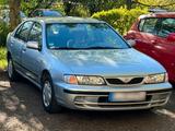 Nissan Almera - Nissan Almera: Kleinwagen