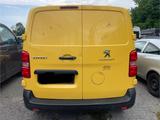 Peugeot Expert Kasten Pro L1 Dangel 4x4 - Peugeot Expert aus 2018