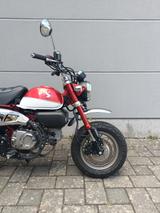 Honda Z 125 MONKEY MAK ED **KUNDENDIENST NEU** - HONDA 125