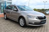 Skoda Octavia Combi Style - mit Benzin-Antrieb: Beige, Teilleder