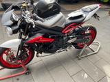 Triumph Street Triple 675 RX Arrow Quickshifter LED  - Triumph Street Triple 675 R