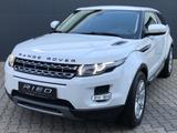 Land Rover Evoque Pure Bi-Xenon Kamera Navi Leder - Land Rover: Weiß