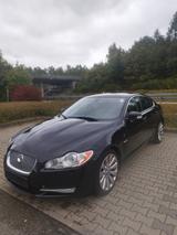 Jaguar XF 4.2 L V8 Premium Luxury Premium Luxury - Jaguar XF Luxury mit Benzin-Antrieb