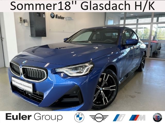 BMW 220 i M-Sport Sommer18'' Glasdach H/K SportLenk/