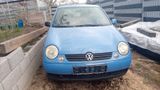 Volkswagen Lupo 1.4 AUTO BASIS Basis - Volkswagen Lupo aus 1998
