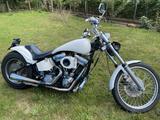 Harley-Davidson Softail Edelbrock Breitreifen uvm. - HARLEY-DAVIDSON 2004 SOFTAIL
