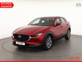 Mazda CX-30 2.0 SKYACTIV-G Selection Head-Up ACC Navi - Mazda aus 2022