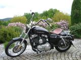 Harley-Davidson Sportster  XL1200C - HARLEY-DAVIDSON 2007 SPORTSTER 1200