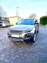 Land Rover Range Rover Evoque 2.0 TD4 180 PS SkyView Au... - Land Rover: Beige
