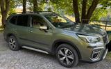 Subaru Forester Platinum Schiebedach AHK  - Subaru Forester: Grün