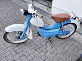 Kreidler Amazone - Offers matching your search criteria