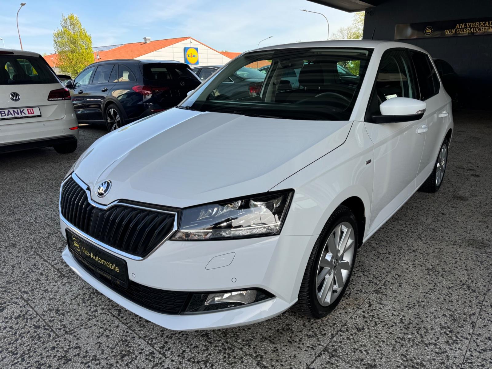 Skoda Fabia 1.0 TSI Clever *LED/SHZ/PDC/CarPlay*