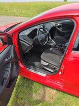 Ford Focus 1,5 EcoBoost 110kW ST-Line Turnier Aut... - Ford Focus in Köln