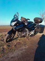 Suzuki V-Strom  DL 1000 - Angebote