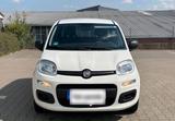 Fiat fiat panda - Fiat Panda Gebrauchtwagen in Wuppertal
