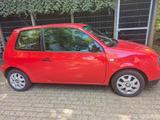 Seat Arosa Prima Plus 1,0 Prima Plus - gebrauchte Seat Arosa aus dem Jahr 2004