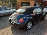 Volkswagen Beetle Cabrio Sommerfahrzeug - Volkswagen Beetle aus 2004: Cabrio