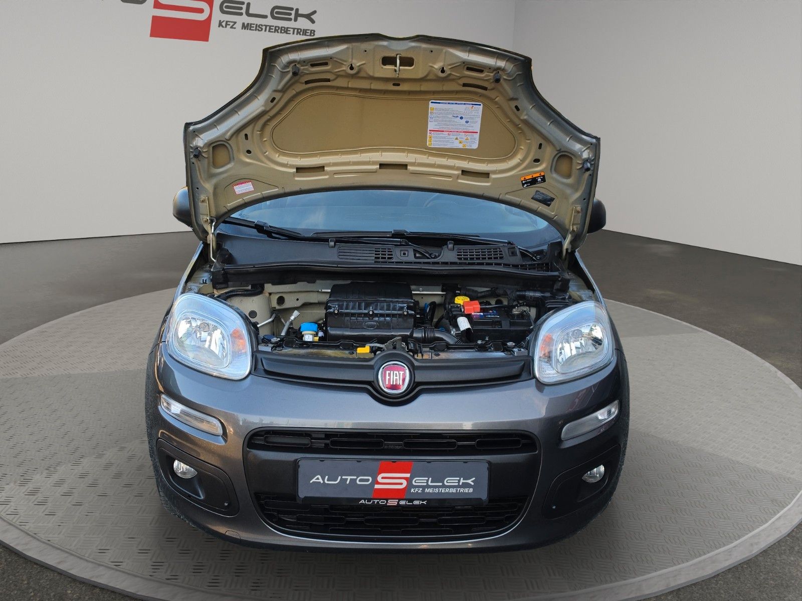 Fahrzeugabbildung Fiat Panda Easy AUS 1.HAND TÜV SERVICE NEU WENIG KM