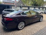 Jaguar XF 3.0 V6 Diesel S Premium Luxury - Jaguar Gebrauchtwagen von 2010