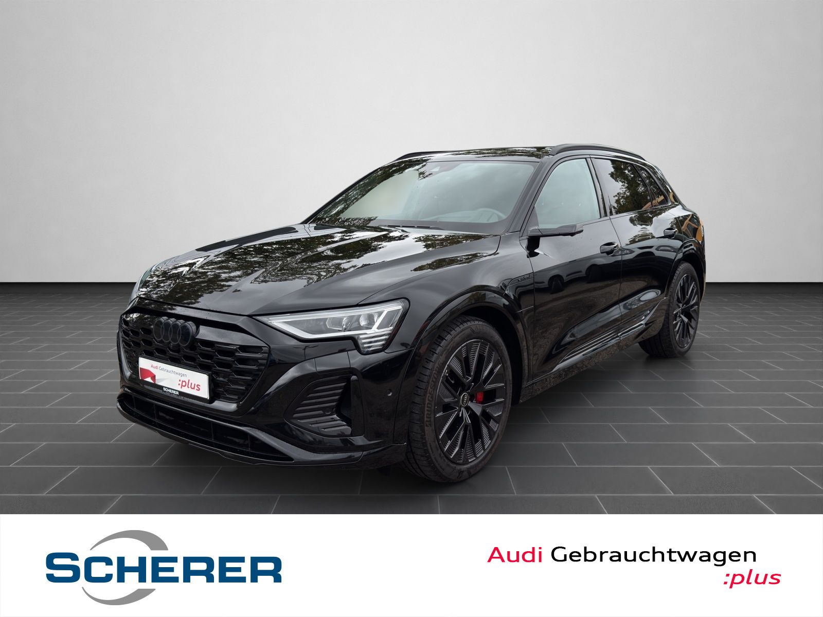 Audi Q8 e-tron 55 e-tron quattro S line PANO MATRIX H