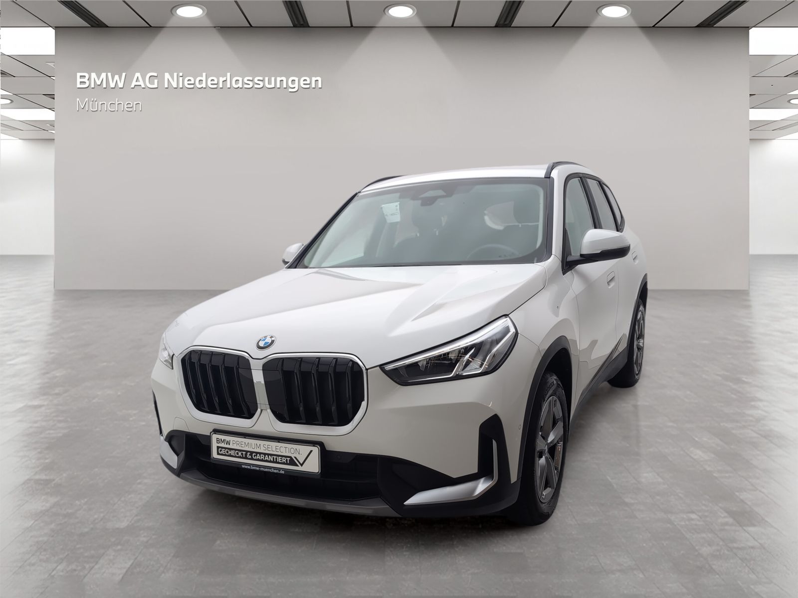 BMW X1 sDrive18i Kamera Sitzheizung foto 3