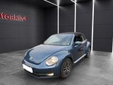 Volkswagen New Beetle Allstar BMT/Kamera/Navi/Sitzhzg/Multi - : Teilleder, Panorama-Dach, Cabrio