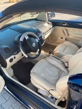 Volkswagen VW  Beetle - Volkswagen Beetle aus 2003: Cabrio