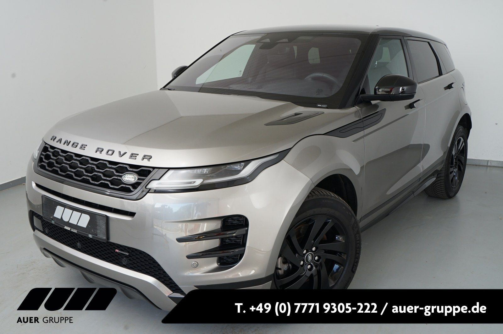 Land Rover Range Rover Evoque P300e (Navi LED ACC )
