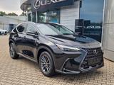 Lexus NX 350 h Business Line mit Connect LED+360+Kam. - Lexus aus 2024: Nx