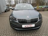 Skoda Karoq Active+WR - Skoda Karoq: Active