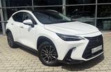 Lexus NX 350h Executive Line *Technologie-Paket*Panora - weiße Lexus NX-Serie